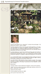 Mobile Screenshot of drlynnpaulus.com